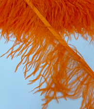 Перо страус оранжевое