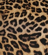 Креп бежевый леопард